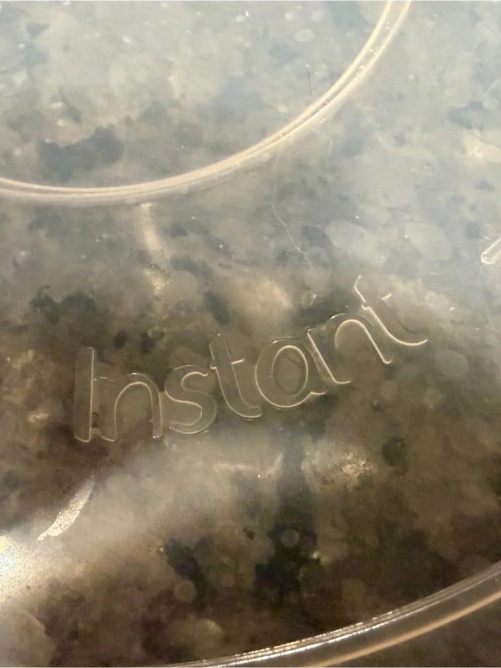 Instant Pot instant pot